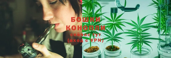ALPHA PVP Беломорск