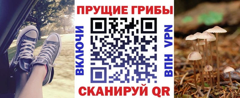 где найти   Маркс  Псилоцибиновые грибы GOLDEN TEACHER 